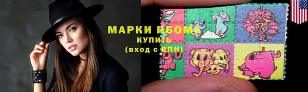 хмурый Алексин