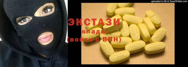 хмурый Алексин