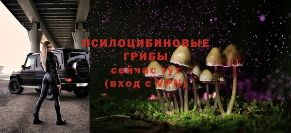 МДМА Алексеевка