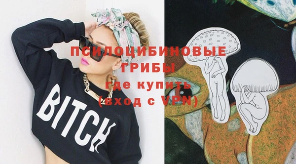 хмурый Алексин