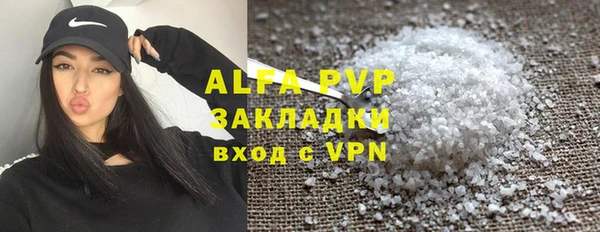 гашик Карпинск