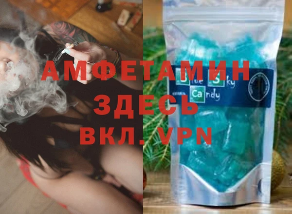 хмурый Алексин