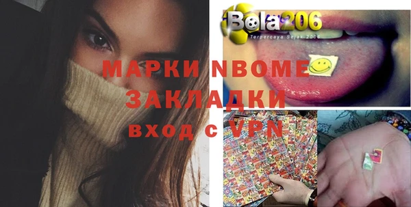 хмурый Алексин