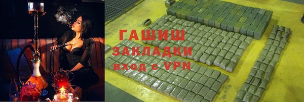 хмурый Алексин