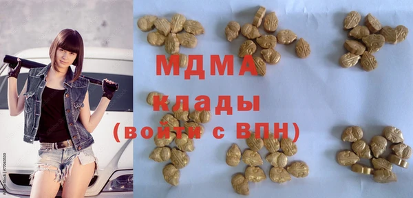 хмурый Алексин
